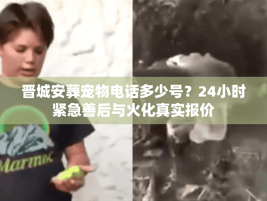 晋城安葬宠物电话多少号？24小时紧急善后与火化真实报价