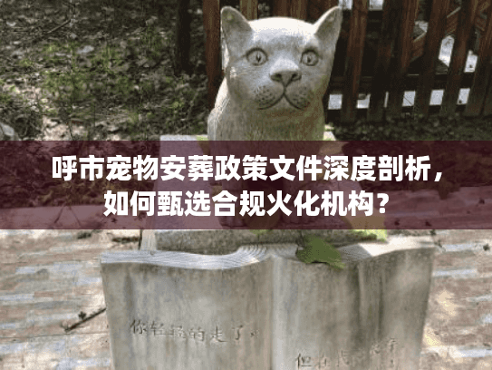 呼市宠物安葬政策文件深度剖析，如何甄选合规火化机构？