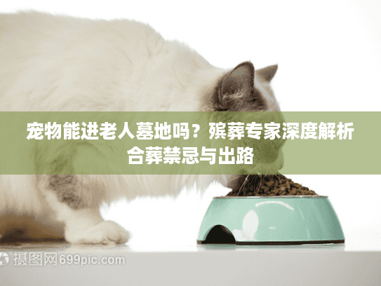 宠物能进老人墓地吗？殡葬专家深度解析合葬禁忌与出路