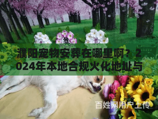 濮阳宠物安葬在哪里啊?2024年本地合规火化地址与避坑实录 濮阳宠物安葬在哪里啊?2024年本地合规火化地址与避坑实录