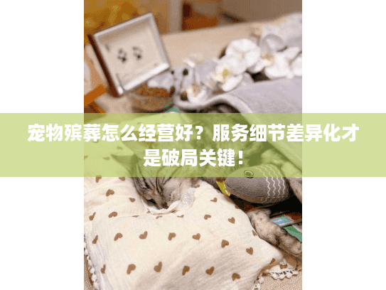 宠物殡葬怎么经营好？服务细节差异化才是破局关键！