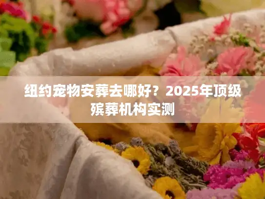 纽约宠物安葬去哪好?2025年顶级殡葬机构实测 纽约宠物安葬去哪好?2025年顶级殡葬机构实测