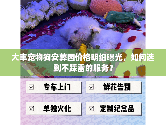 大丰宠物狗安葬园价格明细曝光,如何选到不踩雷的服务? 大丰宠物狗安葬园价格明细曝光,如何选到不踩雷的服务?