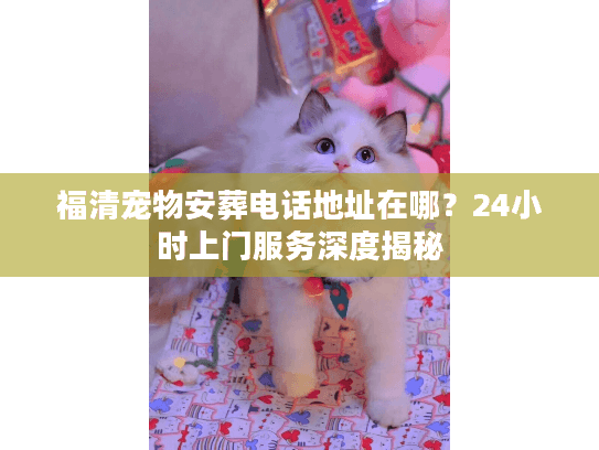 福清宠物安葬电话地址在哪？24小时上门服务深度揭秘