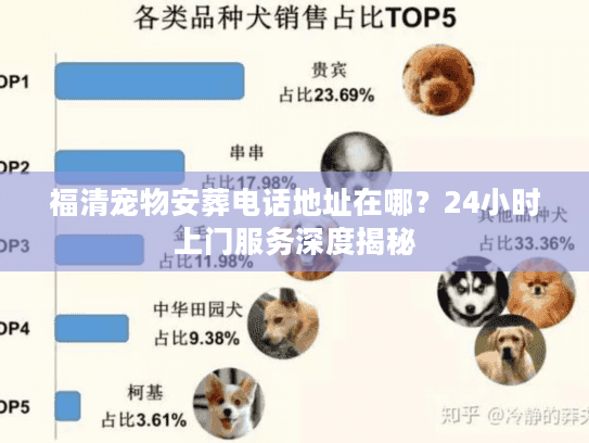 福清宠物安葬电话地址在哪？24小时上门服务深度揭秘