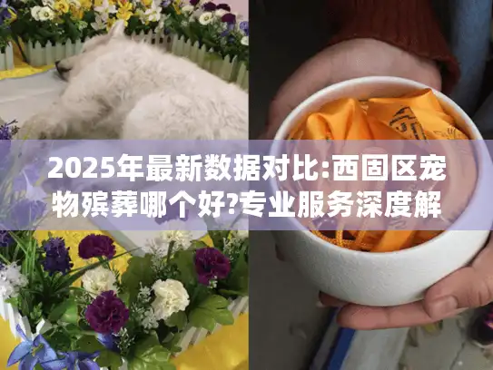 2025年最新数据对比:西固区宠物殡葬哪个好?专业服务深度解析
