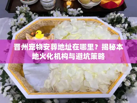 晋州宠物安葬地址在哪里?揭秘本地火化机构与避坑策略 晋州宠物安葬地址在哪里?揭秘本地火化机构与避坑策略