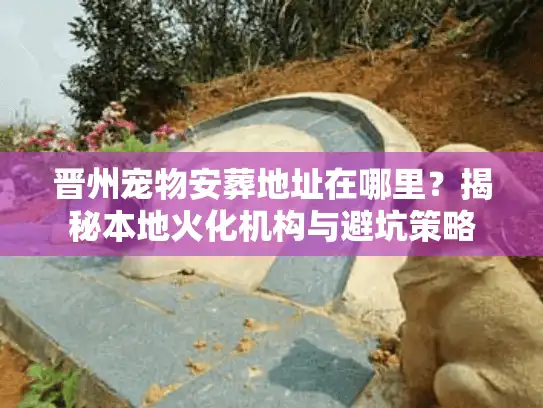 晋州宠物安葬地址在哪里?揭秘本地火化机构与避坑策略 晋州宠物安葬地址在哪里?揭秘本地火化机构与避坑策略