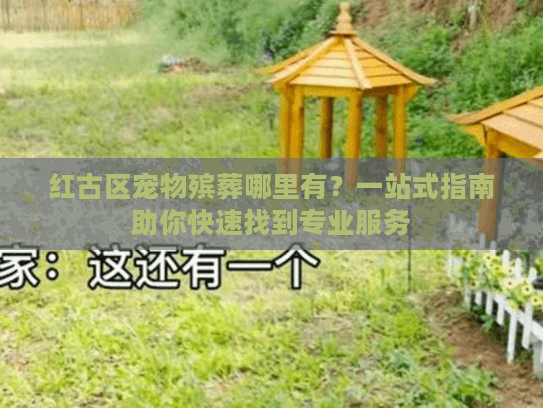 红古区宠物殡葬哪里有？一站式指南助你快速找到专业服务