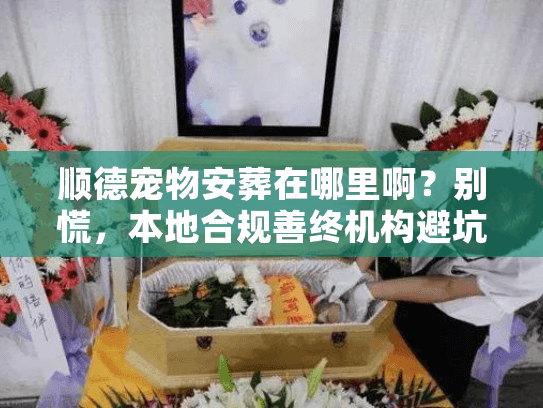 顺德宠物安葬在哪里啊？别慌，本地合规善终机构避坑实录