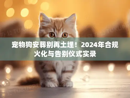宠物狗安葬别再土埋！2024年合规火化与告别仪式实录