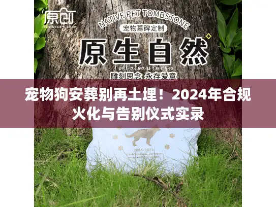 宠物狗安葬别再土埋！2024年合规火化与告别仪式实录