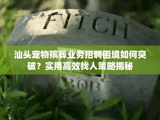 汕头宠物殡葬业务招聘困境如何突破?实用高效找人策略揭秘 汕头宠物殡葬业务招聘困境如何突破?实用高效找人策略揭秘