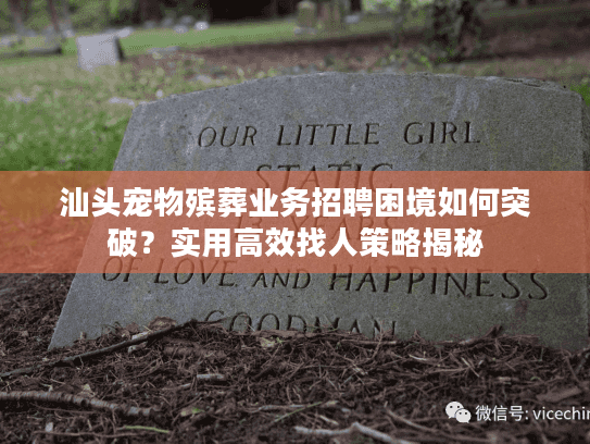 汕头宠物殡葬业务招聘困境如何突破?实用高效找人策略揭秘 汕头宠物殡葬业务招聘困境如何突破?实用高效找人策略揭秘