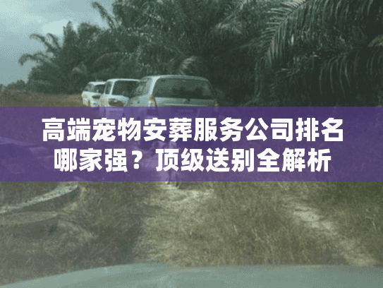 高端宠物安葬服务公司排名哪家强？顶级送别全解析