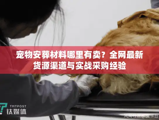 宠物安葬材料哪里有卖?全网最新货源渠道与实战采购经验 宠物安葬材料哪里有卖?全网最新货源渠道与实战采购经验