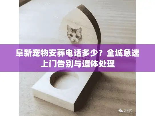 阜新宠物安葬电话多少?全城急速上门告别与遗体处理 阜新宠物安葬电话多少?全城急速上门告别与遗体处理