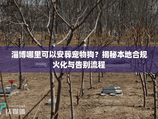 淄博哪里可以安葬宠物狗？揭秘本地合规火化与告别流程