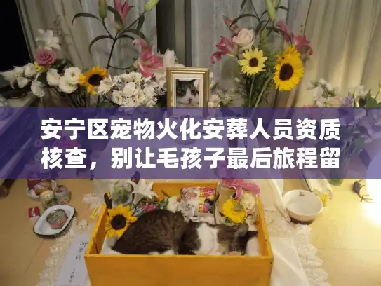 安宁区宠物火化安葬人员资质核查，别让毛孩子最后旅程留遗憾