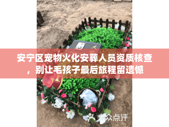 安宁区宠物火化安葬人员资质核查，别让毛孩子最后旅程留遗憾