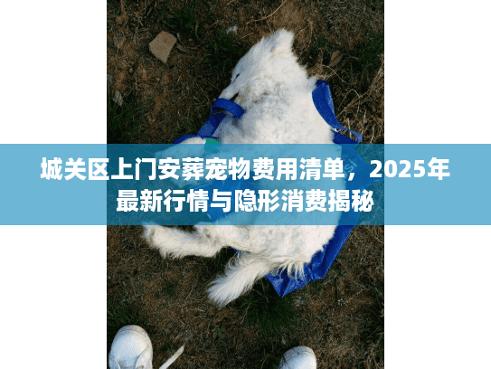 城关区上门安葬宠物费用清单,2025年最新行情与隐形消费揭秘 城关区上门安葬宠物费用清单,2025年最新行情与隐形消费揭秘