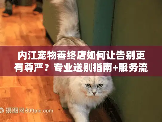 内江宠物善终店如何让告别更有尊严?专业送别指南+服务流程详解 内江宠物善终店如何让告别更有尊严?专业送别指南+服务流程详解