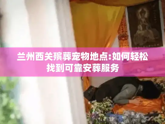 兰州西关殡葬宠物地点:如何轻松找到可靠安葬服务 兰州西关殡葬宠物地点:如何轻松找到可靠安葬服务