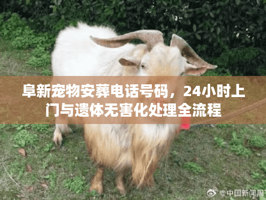 阜新宠物安葬电话号码，24小时上门与遗体无害化处理全流程