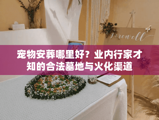 宠物安葬哪里好?业内行家才知的合法墓地与火化渠道 宠物安葬哪里好?业内行家才知的合法墓地与火化渠道