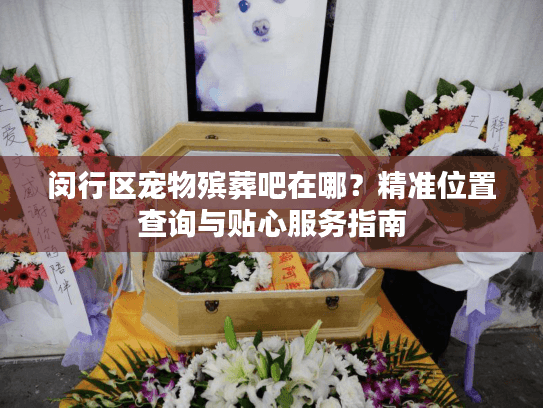 闵行区宠物殡葬吧在哪？精准位置查询与贴心服务指南