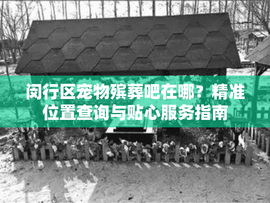 闵行区宠物殡葬吧在哪？精准位置查询与贴心服务指南