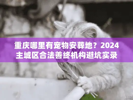 重庆哪里有宠物安葬地？2024主城区合法善终机构避坑实录