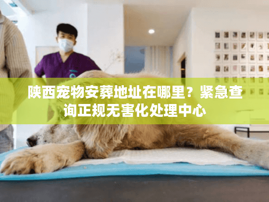 陕西宠物安葬地址在哪里？紧急查询正规无害化处理中心