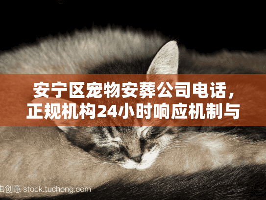 安宁区宠物安葬公司电话,正规机构24小时响应机制与避坑全揭秘 安宁区宠物安葬公司电话,正规机构24小时响应机制与避坑全揭秘