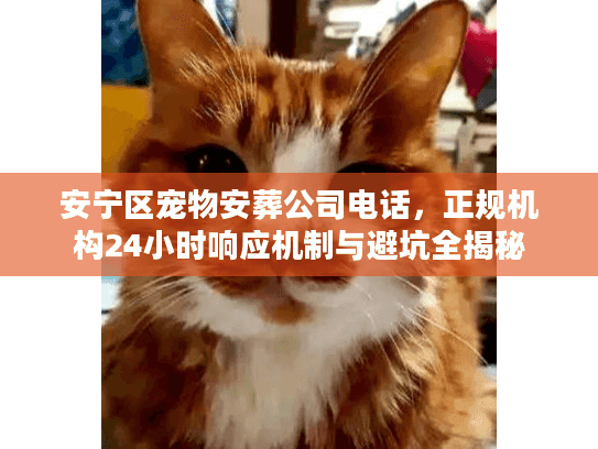 安宁区宠物安葬公司电话,正规机构24小时响应机制与避坑全揭秘 安宁区宠物安葬公司电话,正规机构24小时响应机制与避坑全揭秘