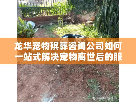 龙华宠物殡葬咨询公司如何一站式解决宠物离世后的服务难题？