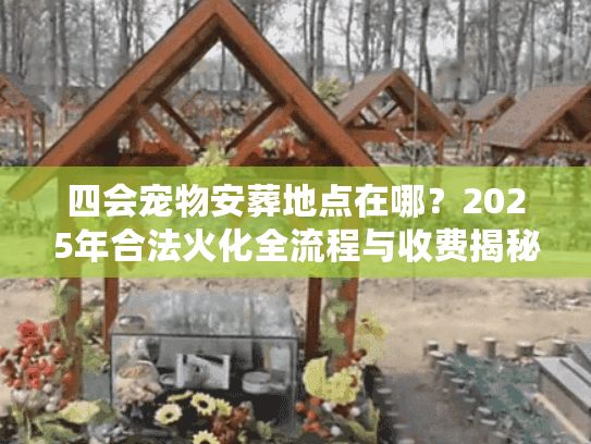 四会宠物安葬地点在哪？2025年合法火化全流程与收费揭秘
