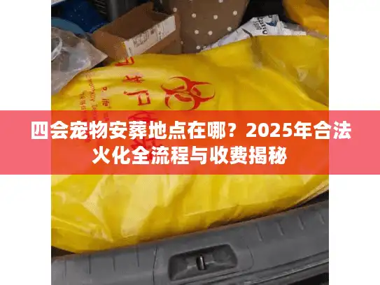 四会宠物安葬地点在哪？2025年合法火化全流程与收费揭秘