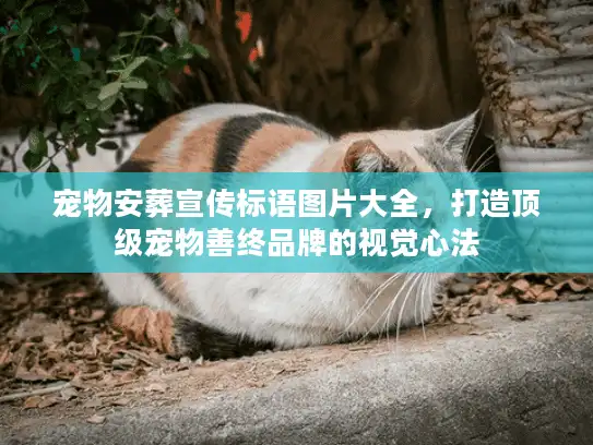 宠物安葬宣传标语图片大全，打造顶级宠物善终品牌的视觉心法