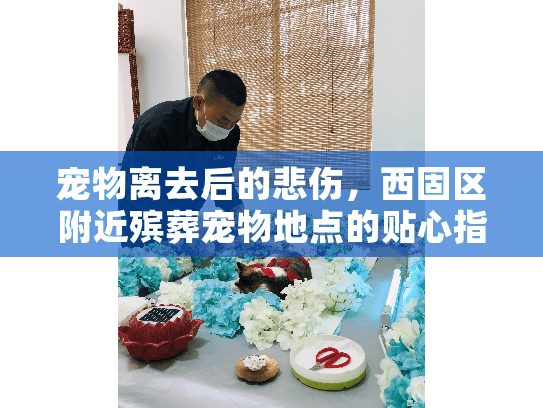 宠物离去后的悲伤，西固区附近殡葬宠物地点的贴心指南