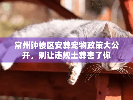 常州钟楼区安葬宠物政策大公开，别让违规土葬害了你