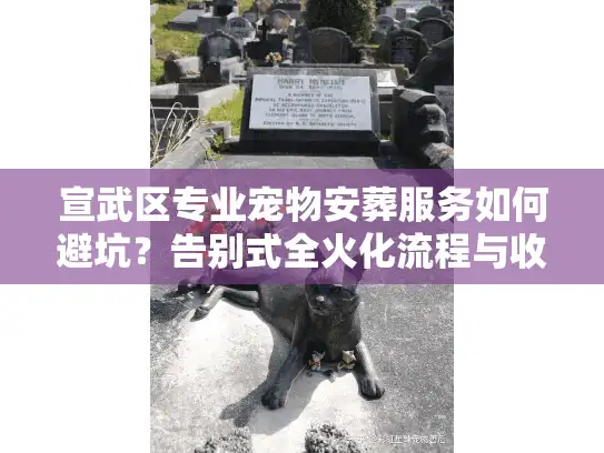 宣武区专业宠物安葬服务如何避坑？告别式全火化流程与收费内幕
