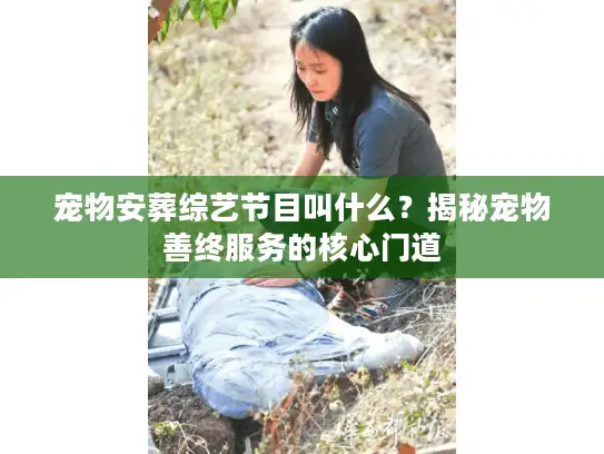 宠物安葬综艺节目叫什么？揭秘宠物善终服务的核心门道