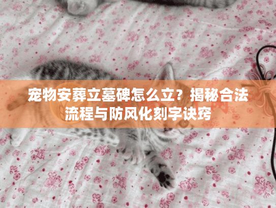 宠物安葬立墓碑怎么立?揭秘合法流程与防风化刻字诀窍 宠物安葬立墓碑怎么立?揭秘合法流程与防风化刻字诀窍