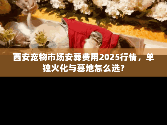 西安宠物市场安葬费用2025行情，单独火化与墓地怎么选？