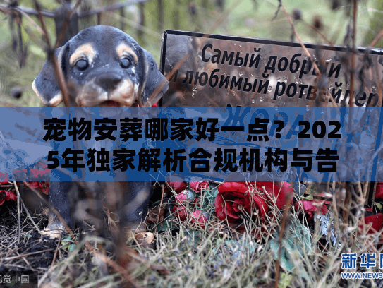 宠物安葬哪家好一点？2025年独家解析合规机构与告别避坑实况