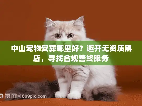 中山宠物安葬哪里好？避开无资质黑店，寻找合规善终服务
