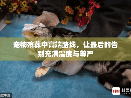 宠物殡葬中高端路线，让最后的告别充满温度与尊严