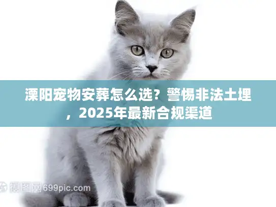 溧阳宠物安葬怎么选？警惕非法土埋，2025年最新合规渠道