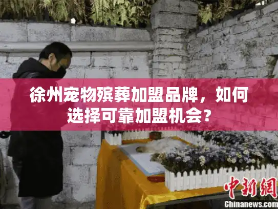 徐州宠物殡葬加盟品牌，如何选择可靠加盟机会？